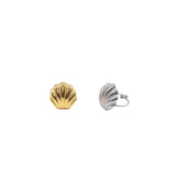 Anello conchiglia marina