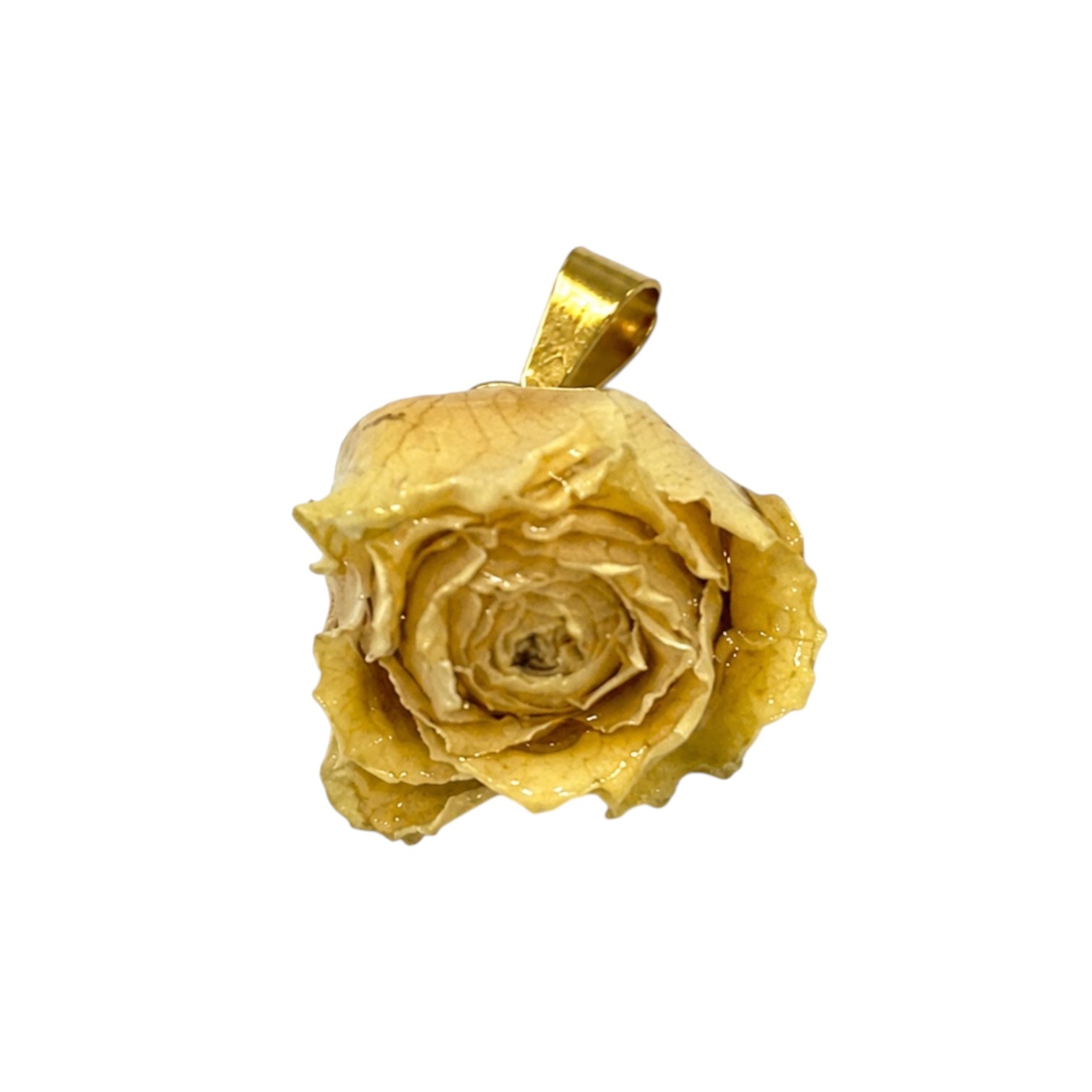 Charm FiordiRosa