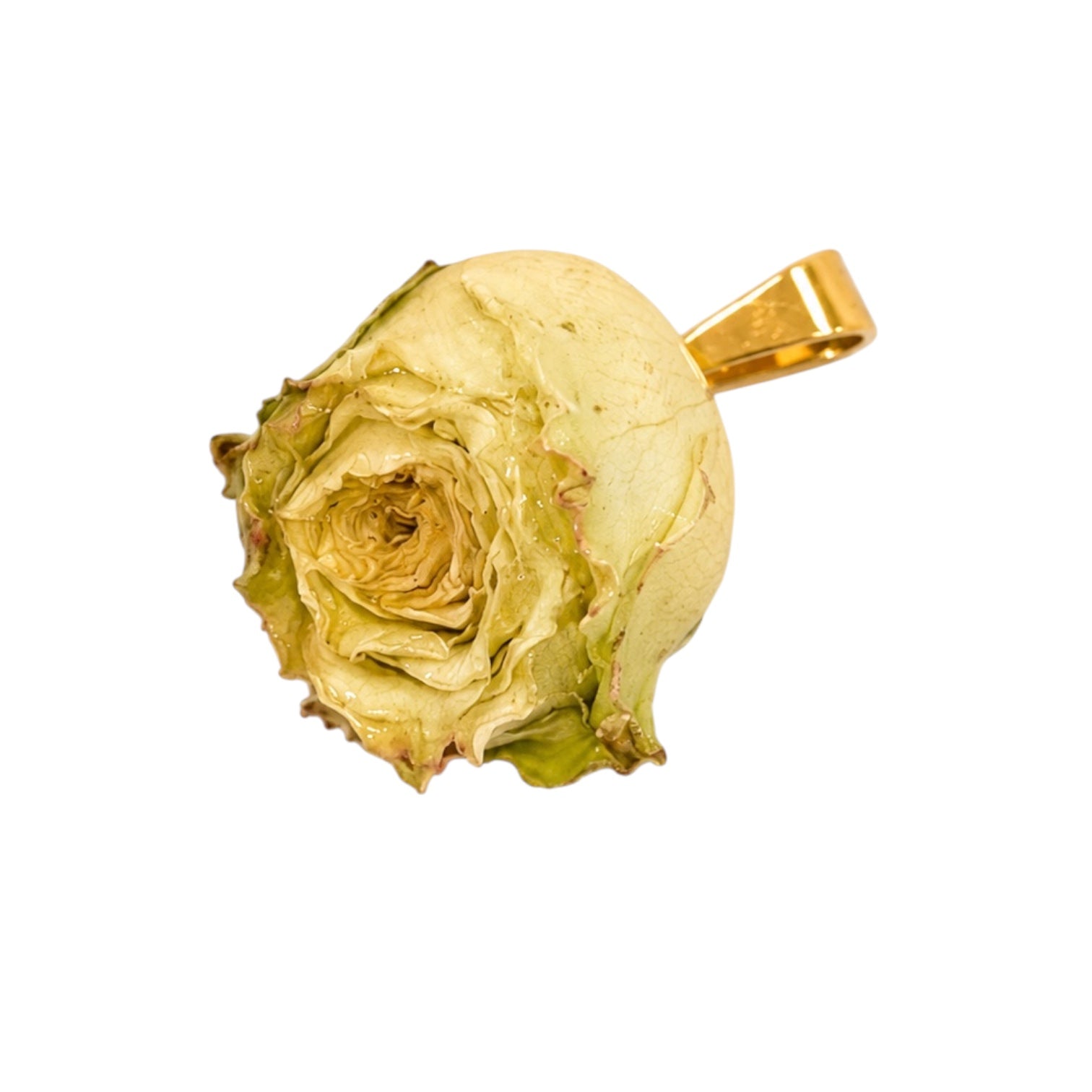 Charm FiordiRosa